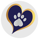 In loving paws
